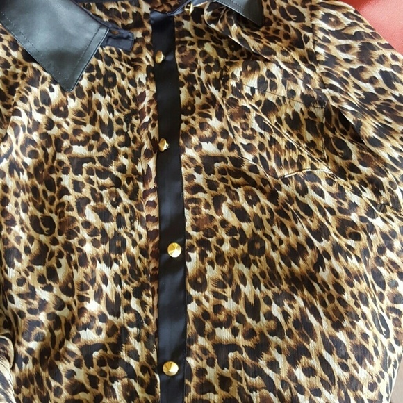Gianni Bini leopard/animal print chiffon long sleeve sheer blouse leather trim - Picture 4 of 4